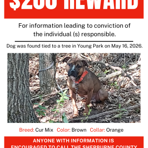 Dog found at Young Park